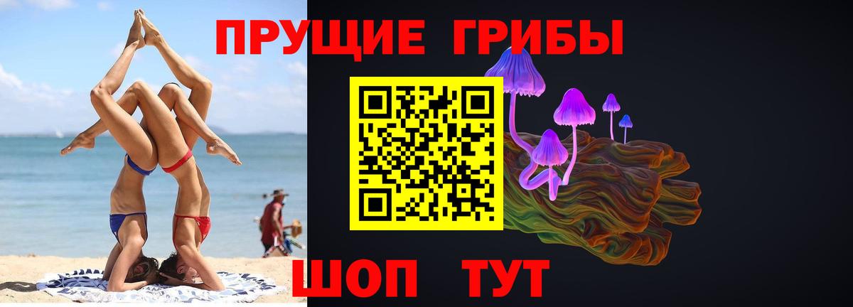 Галлюциногенные грибы Cubensis Алатырь