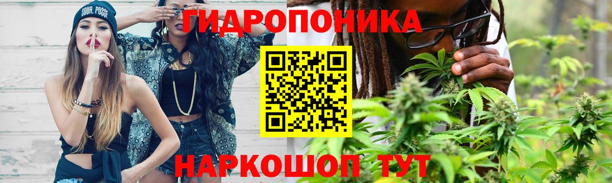 МАРИХУАНА планчик  Марихуана OG Kush  Конопля THC 21%  Вход с VPN  Алатырь 